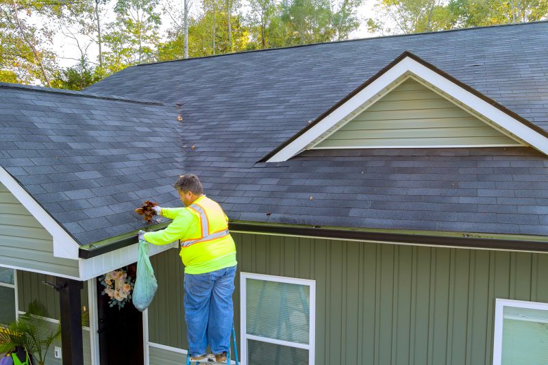 Eaves Cleaning
