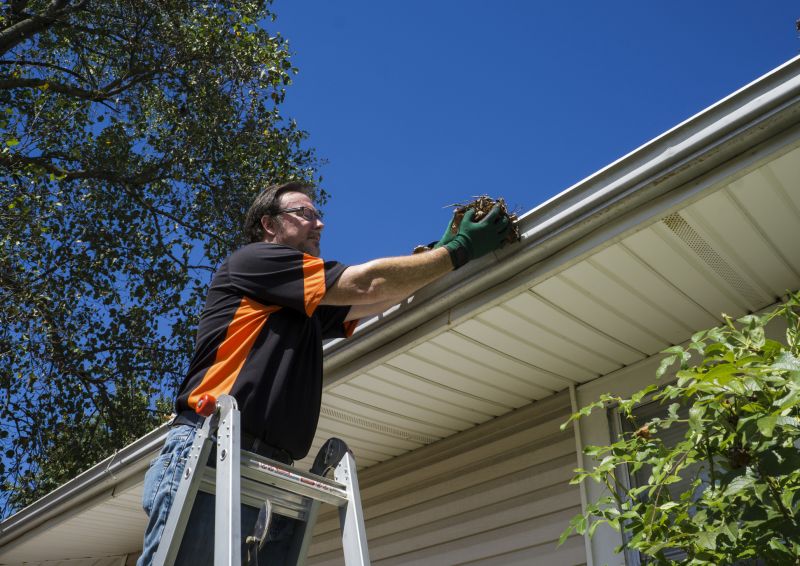 Clean Eaves and Gutters