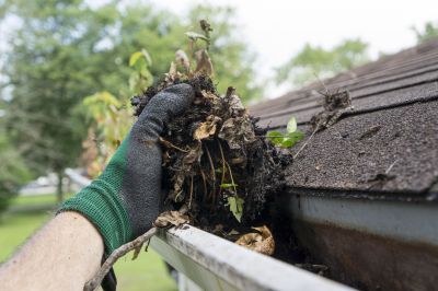 Eaves Cleaning in Spring