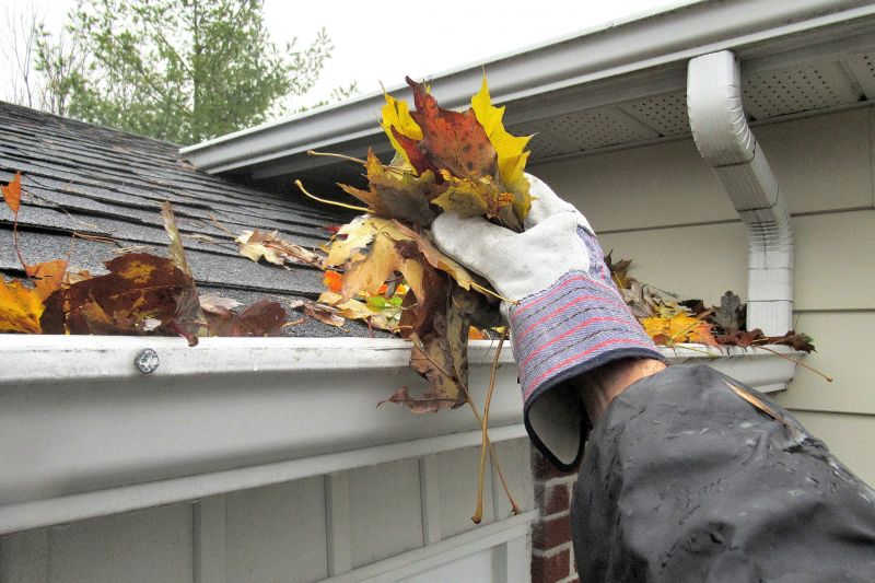 Roof Gutter Cleaning in Morris County, NJ