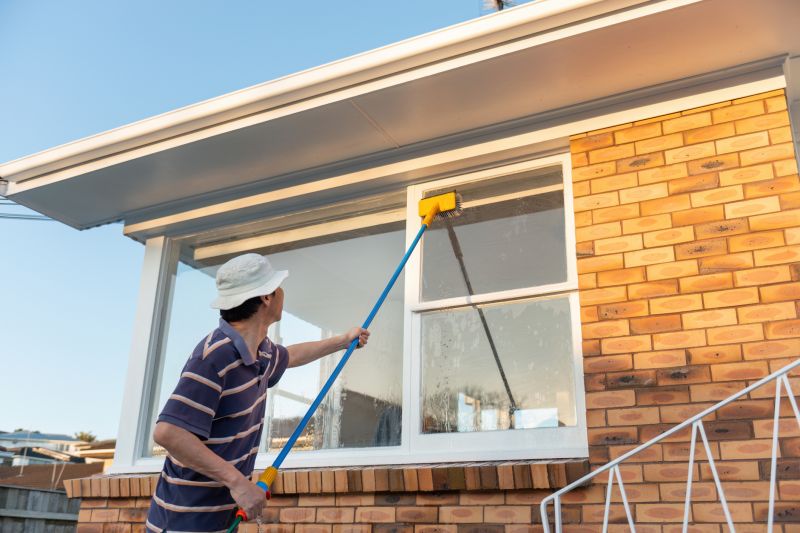 Eaves Cleaning